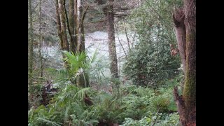 Microclimates, what you need to know