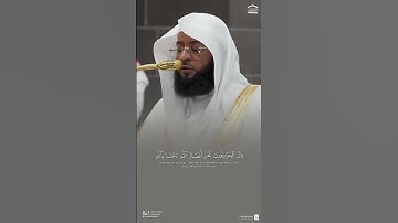تلاوة بصوت للشيخ بدر بن محمد التركي إمام الحرم المكي من سورة آل عمران 🤍
