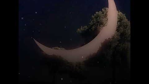 🌹الا بذكر الله تطمئن القلوب 🌹تلاوة ماهر  المعيقلي🌹
