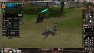 Metin2 NB. Hack-eri lovesc.