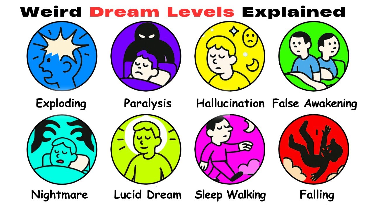 Level Dream Course Every Level of Dreams Explained - YouTube