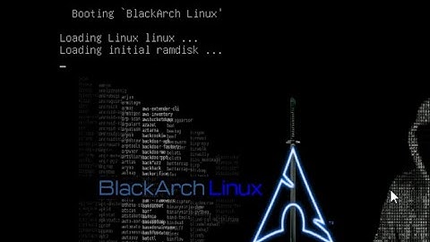 loading initial ramdisk