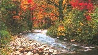 Pagan Streams Read by Hank Beukema