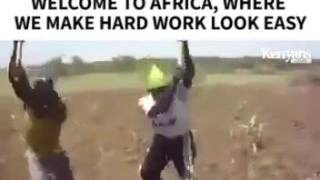 Nice Media Productins