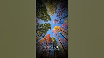 ﴿ قَالَ رَبِّ اشْرَحْ لِي صَدْرِي﴾[ سورة طه: 25]