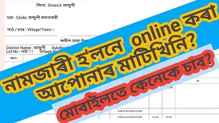 মাটিৰ নামজাৰী হ'ল নে  নহ'ল কেনেকে চাব? || Online Mutation Land Record Check Assam screenshot 5