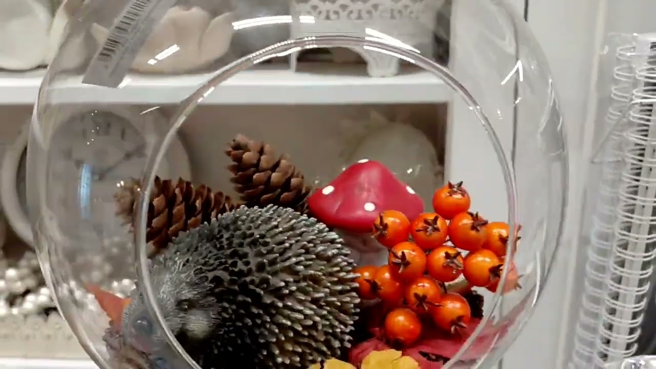 LASIPALLO, Roikkumaan/pöydälle Ø 22 cm