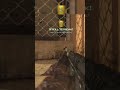 Hitting Shots With The FAL | #mw2 #ogcod