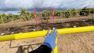 GoSports Football Field Goal Post - 6 or 8 ft Backyard Football Game - Amazon Find Worth It?