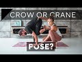 Is it Crow Pose or Crane Pose? | Breathe and Flow Yoga