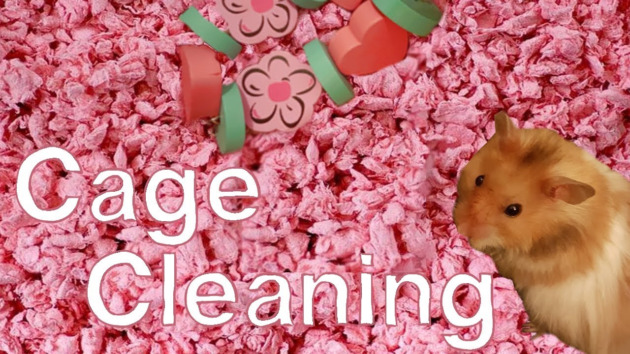 pink hamster bedding