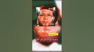 سورة القصص الآية 38-41
