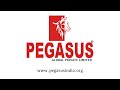 Pegasus global private limited