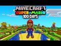 I Survived 100 Days in SUPER MARIO On Minecraft (Here's What Happened)