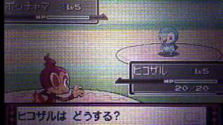ポケモンプラチナ 光るヒコザル Pokemon Platinum Shiny Chimchar Youtube ポケモンプラチナ 光るヒコザル Pokemon Platinum Shiny Chimchar Youtube