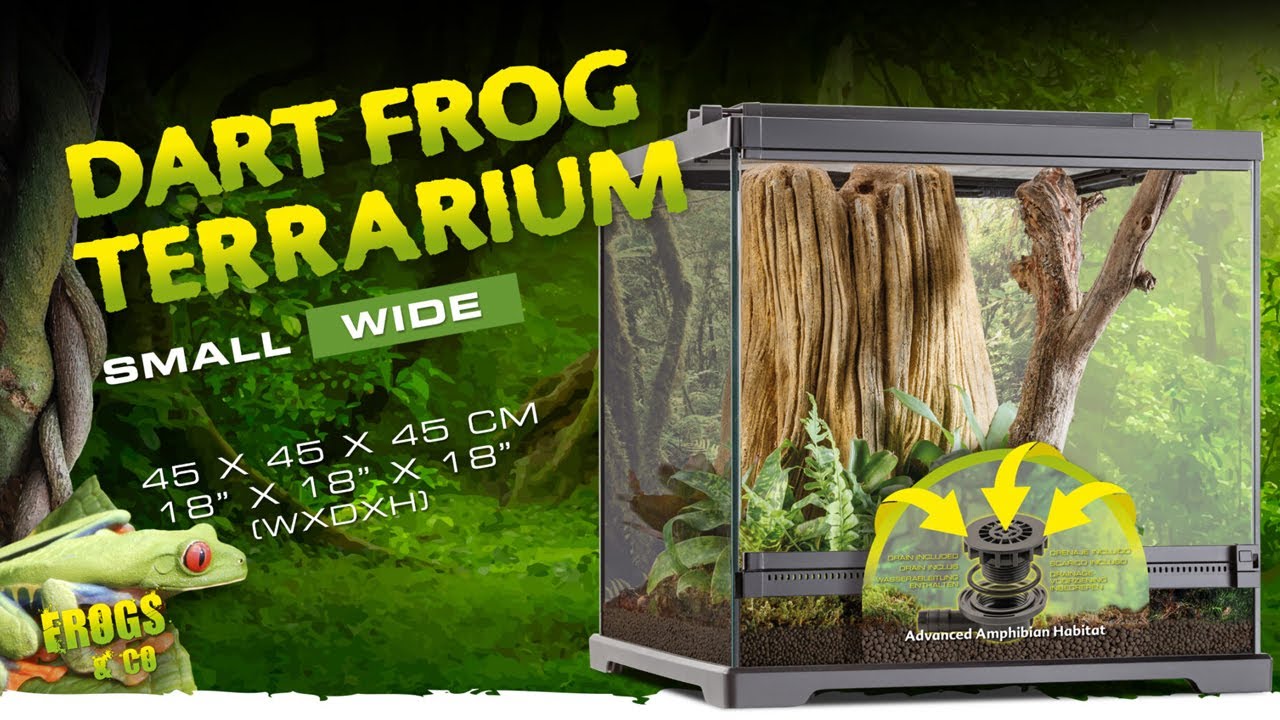 엑소테라 신제품 배수구 타공이 있는 비바리움 사육장도 왔어요! 다트프록&트리프록 테라리움! Exo Terra Frogs & Co