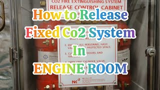How to Release Fixed CO2 Fire Extinguishing System onboard Container Ship
