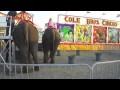 Cole Bros Circus Elephant Rides 5-20-13