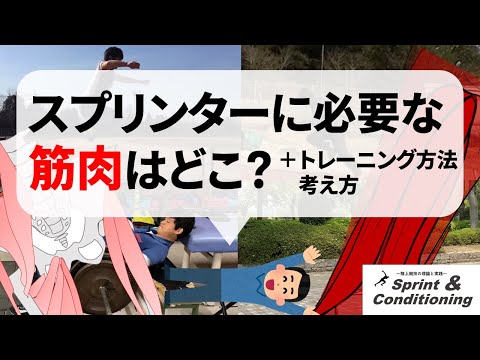 短距離走に最も必要な筋肉と筋力トレーニング方法【＋スプリンターの筋トレへの考え方】