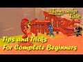 Tips and Tricks for Complete Beginners (A Township Tale on Oculus Meta Quest 2)