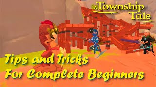 Tips and Tricks for Complete Beginners (A Township Tale on Oculus Meta Quest 2)