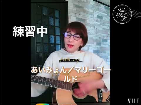 #弾き語りカバー #弾き語り女子 #あいみょん #マリーゴールド #ちーこがcover