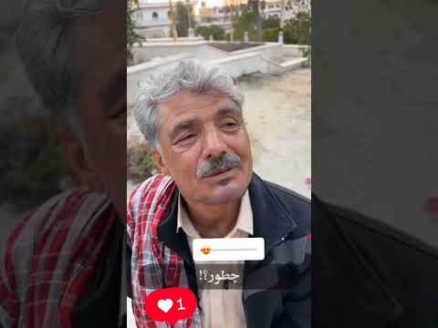 حاجی مهدی و حاجی نسیم شیرگی