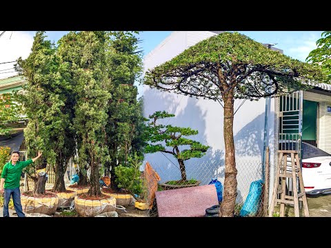 Kieu Trang Kiều Trang 0772886767 - YouTube