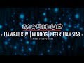 Liam Rau Kuv - Mi Noog - Neej Khua Siab (Mashup Remix)