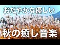 【癒しBGM】心が落ち着く優しいリラックス音楽、自律神経を整え不安やストレス解消のためのヒーリングミュージック/睡眠用・作業用・勉強用BGM
