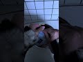 A solitary life of one person#vlog Daily Life#Diary of Living Alone#A girl living alone
