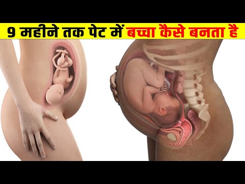 वीडियो: घर पर बच्चे का विकास कैसे करें