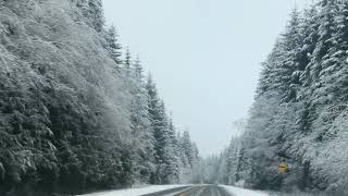 【白噪音】 Sounds - Pickup Driving Through Snowing North Vancouver Island Highway (2021 Road Trip) 【白噪音】 Sounds - Pickup Driving Through Snowing North Vancouver Island Highway (2021 Road Trip)