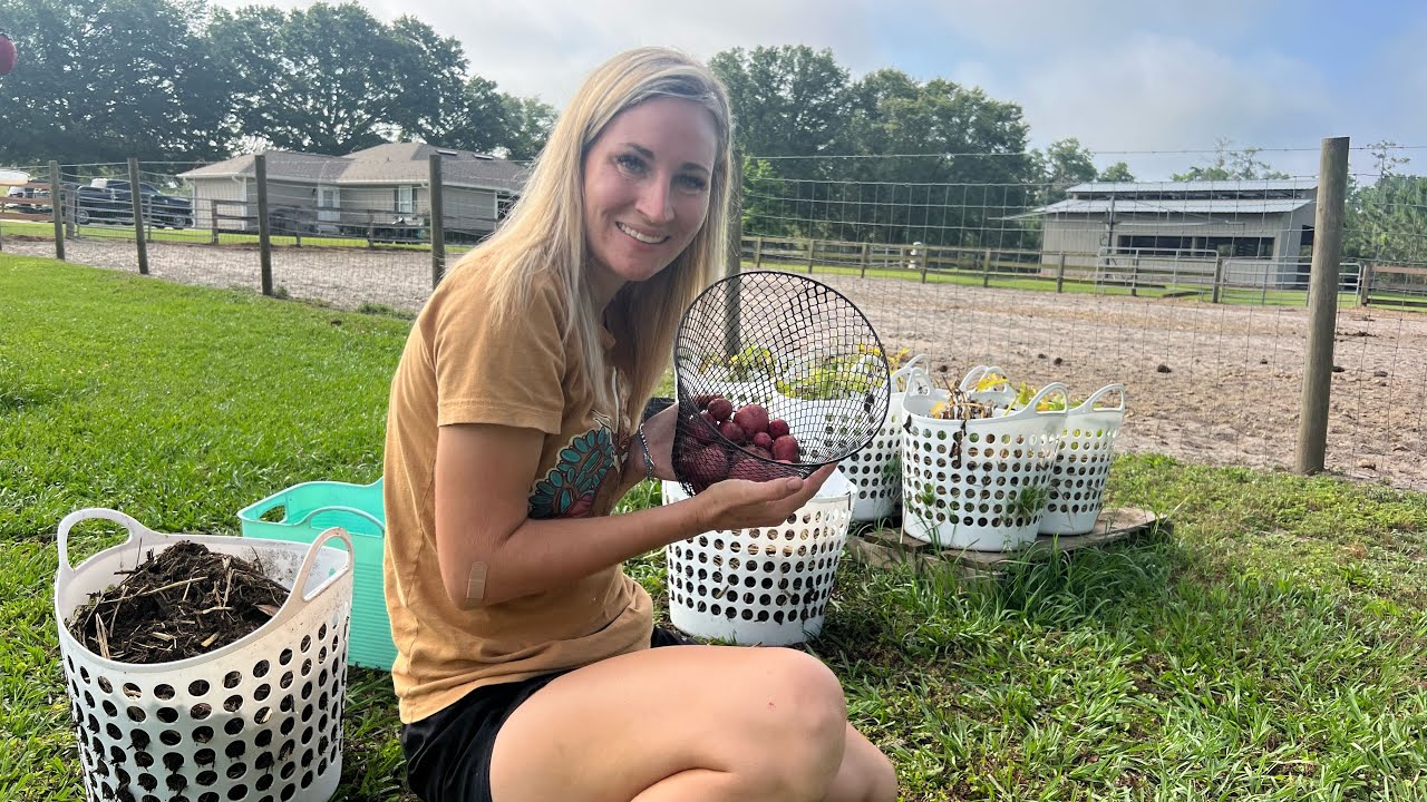 a-day-on-the-homestead-8am-8pm-florida-homestead-youtube