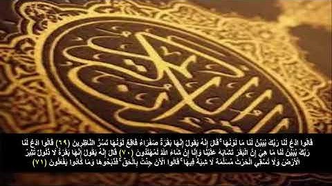 سورة البقره من الآية 69 - 71 . مكرره 3 مرات للحفظ