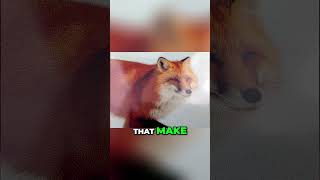 Switchbot AI Art Frame  Art, Pixels, and the PERFECT Viewing Distance!