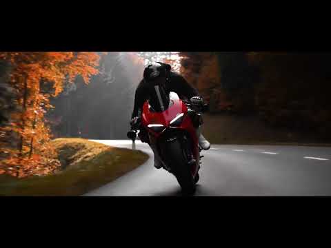 THE RED WOODS  Ducati Panigale V4s feat MOTORBIKEMEDIA
