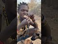 Hadzabe Preparing a Warm Shared Stew Meal #Hadzabe #SharedStew #WildFood #PrimitiveCooking #shorts