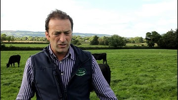 The Greenacres Programme looks at paddock grazing