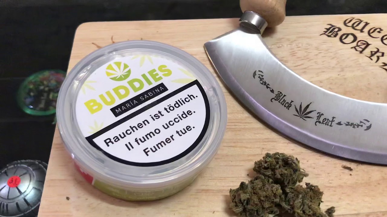 Fleurs de cannabis cbd Swiss Harvest Maria Sabina indoor