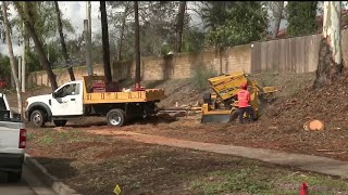 Poway removes hundreds of trees to make city safer | NBC 7 San Diego