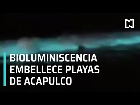Playa de Acapulco se ilumina por bioluminiscencia - Las Noticias