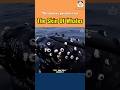 The Marine Parasites On The Skin Of Whales The Marine Parasites On The Skin Of Whales
