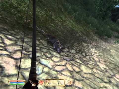 The Paradox of Physics in Oblivion