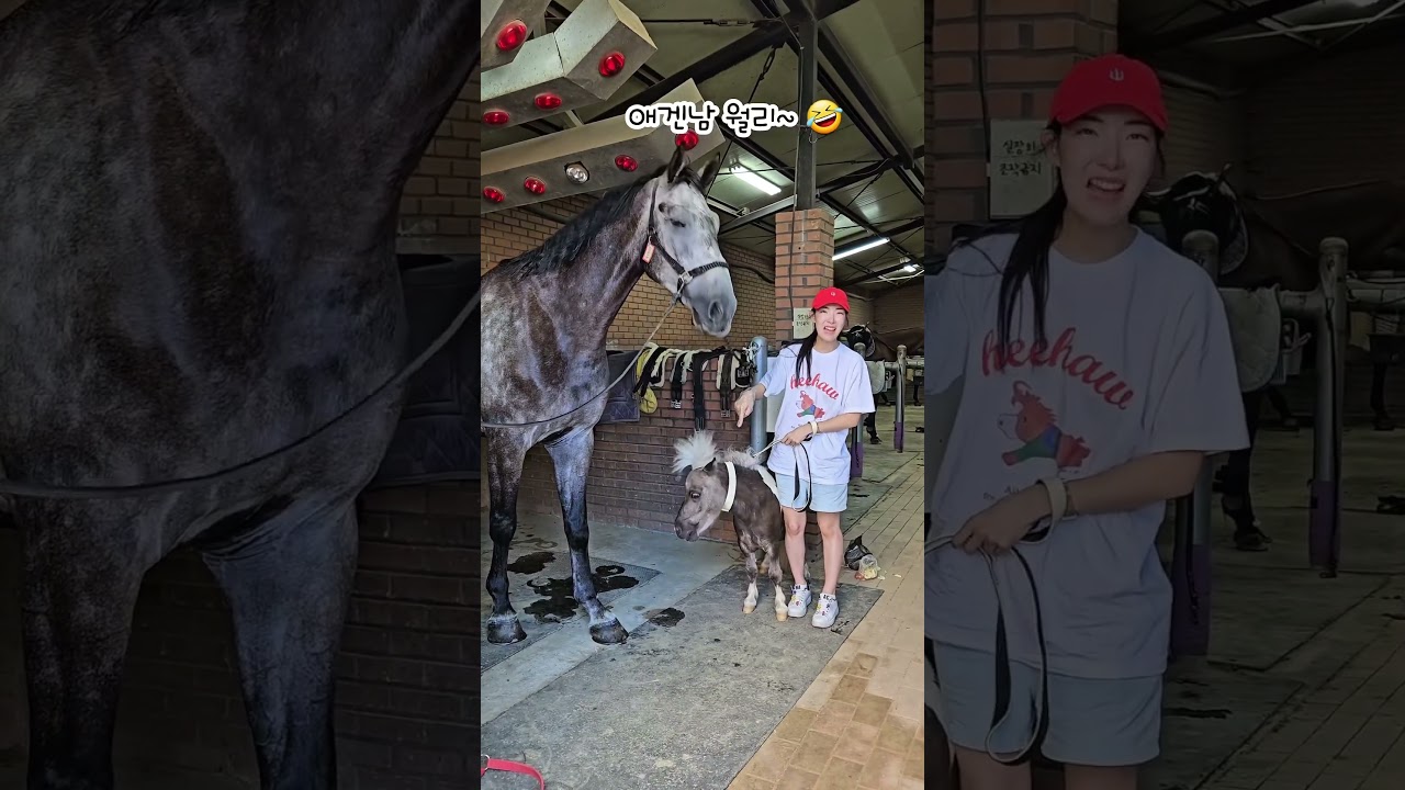 월리 챙겨주는건 형아 뿐이야❤️ You‘re the only one who takes care of Wally