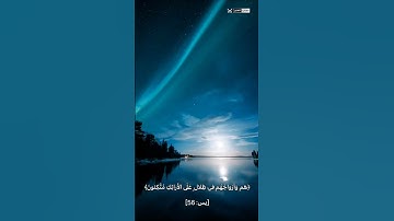 ﴿إِنَّ أَصحابَ الجَنَّةِ اليَومَ في شُغُلٍ فاكِهونَ﴾  تلاوة بصوت القارئ فارس عباد #يوم_الجمعة