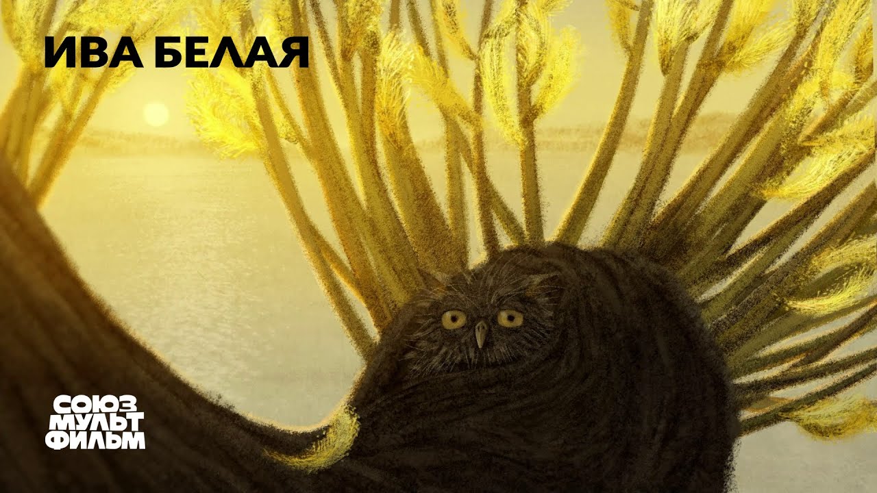 Ива белая | Короткометражный мультфильм | Союзмультфильм