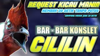 BAR BAR EPIC‼️TEMBAKAN CILILIN BARBAR   NGEROL PANJANG GAK PUTUS PUTUS || MASTERAN CILILIN PANJANG