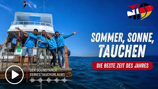 Sommer Sonne Tauchen