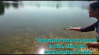 Transverse waves propagation demo | Transverse waves on the surface of water | in wire or string